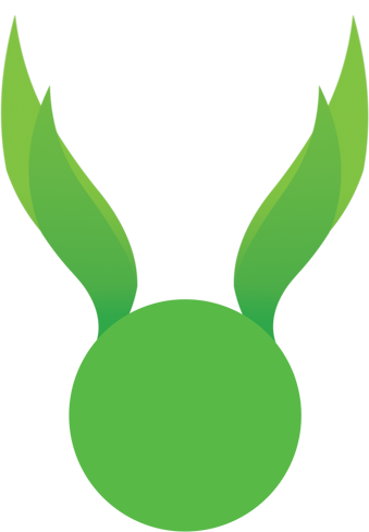 vert
